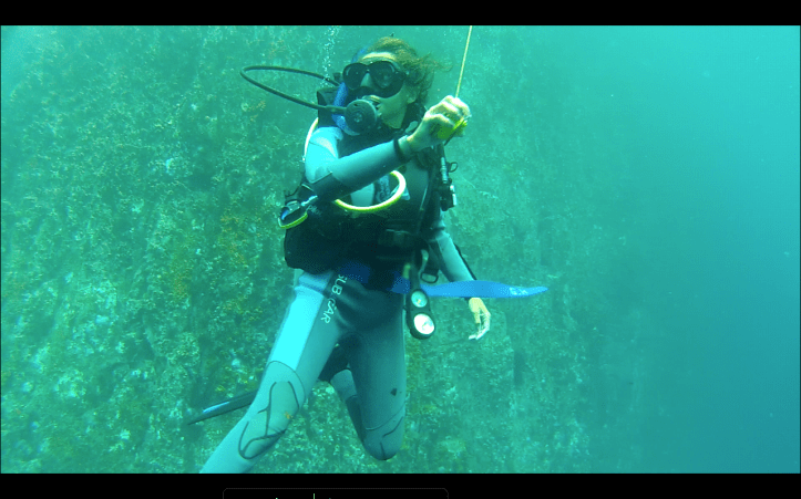 Screen shot 2014-05-08 at 4.11.18 PM