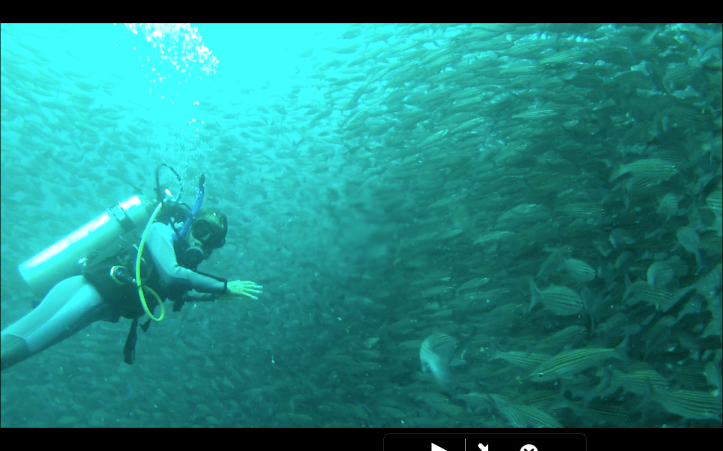 Screen shot 2014-05-08 at 4.15.53 PM