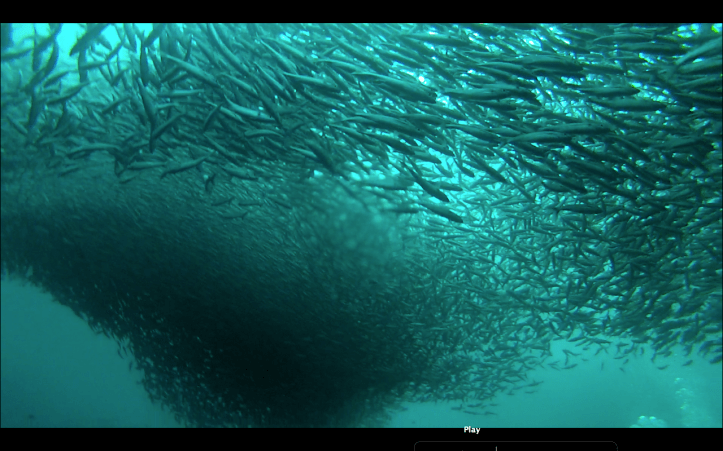 Screen shot 2014-05-08 at 4.23.33 PM