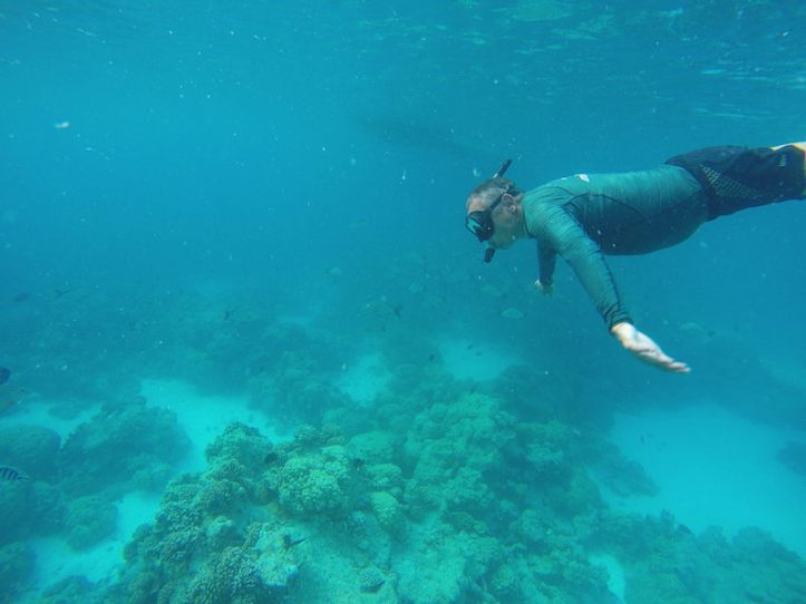 DCIM100GOPROG0016312.