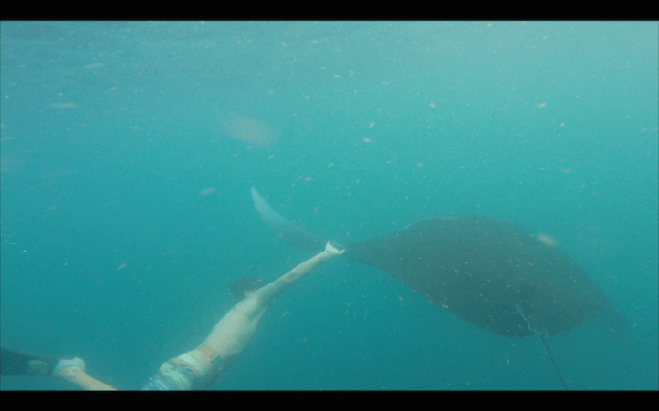 Screen Shot 2015-04-22 at 8.15.36 AM